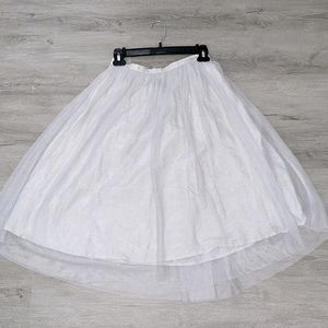 Zara Tulle Skirt